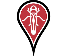 Logo progetto